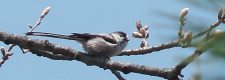 P4160015.JPG