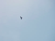 P8100048.JPG